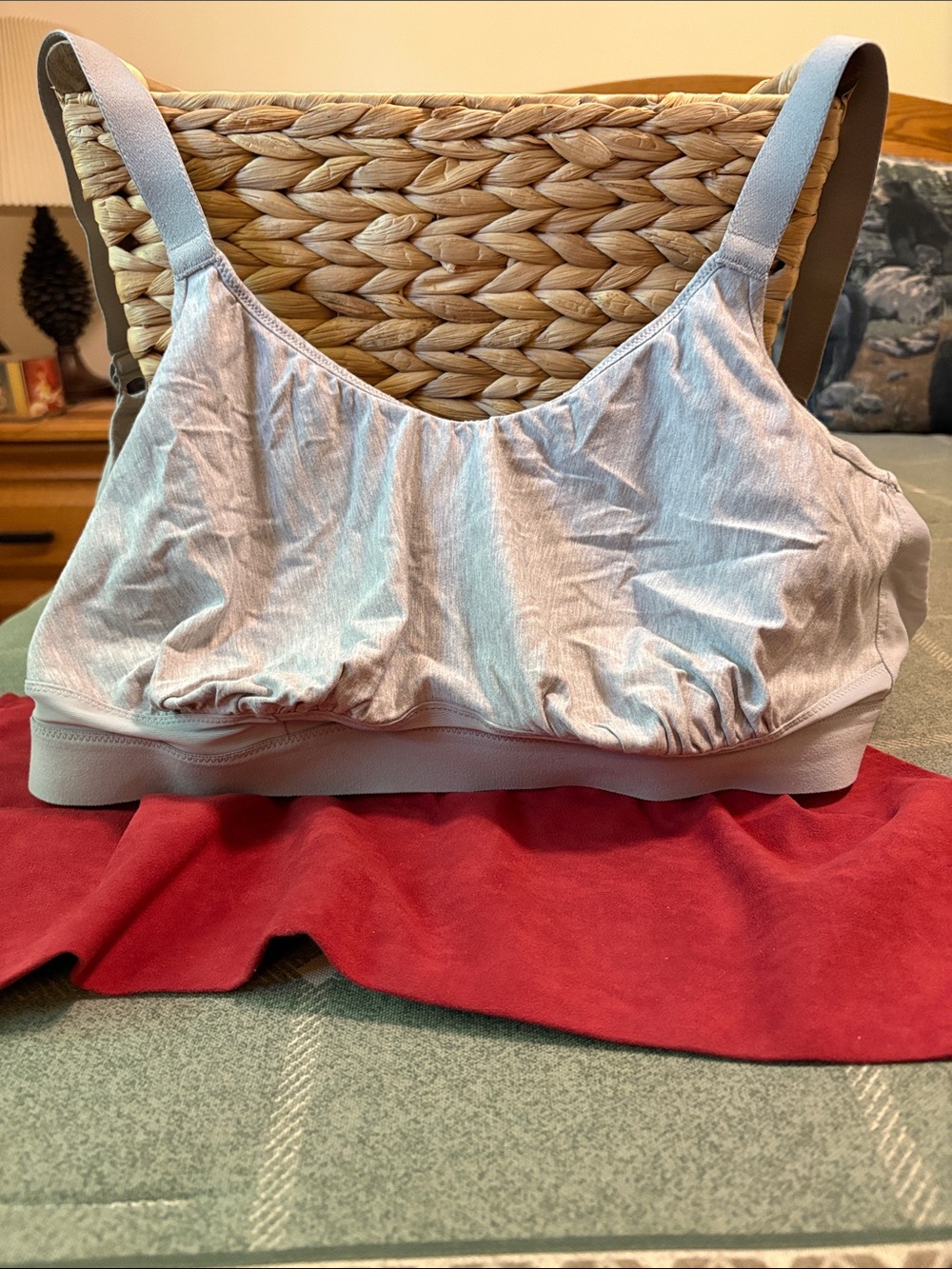 Light Gray Wireless Bralette